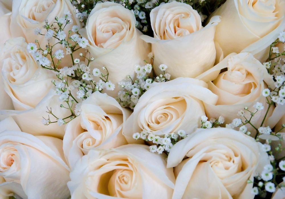 white rose bouquet